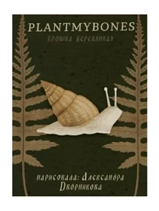 Брошь «Улитка», дерево