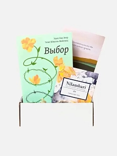Подарочный набор на Новый год с книгой «Выбор» и шоколадом