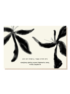 Открытка «Каждому цветку нужно пережить зиму, чтобы зацвести», Mitrozhe