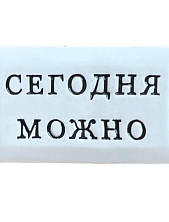 Значок ручной работы Искусство интроверта с надписью «Сегодня можно», керамика