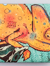 Кошелёк «New Chameleon»