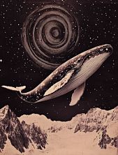 Картхолдер двойной DARI DARI «Летящий кит», экокожа