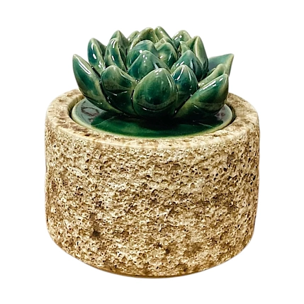 Шкатулка «Суккуленты №2», 7 см, керамика, фото 1.