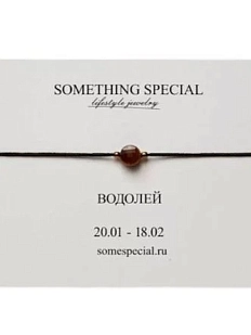 Браслет Something Special «Водолей» с тигровым глазом на черной нити
