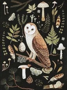 Открытка «Сипуха», тёмная, Дворникова Александра