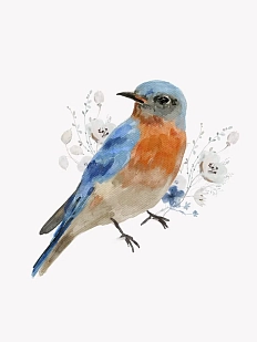 Постер интерьерный «Птичка», А3