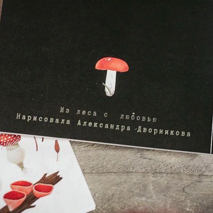 Блокнот «Мухомор», А5, 42 листа, чёрный, фото 3.
