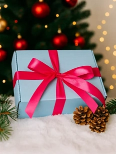 Подарочный набор-сюрприз на Новый год с книгой для девушки/подруги