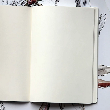 Тетрадь «Матисс», фото 4.