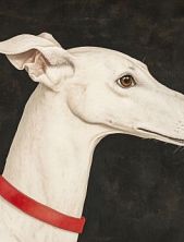 Обложка на студенческий билет «Грейхаунд» (английская борзая), экокожа