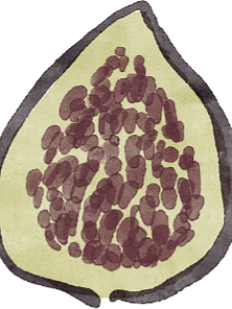 3D Стикер на телефон «Инжир», объёмный, 3 см