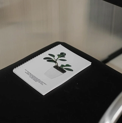 Блокнот на пружине Mitrozhe «Она счастлива», А5, 50 листов, белый, фото 3.