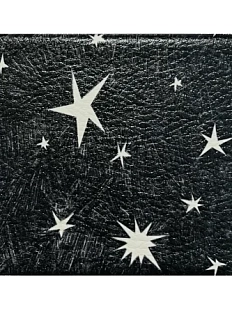 Обложка на студенческий билет Апрельское утро «Звёзды на чёрном», ПВХ