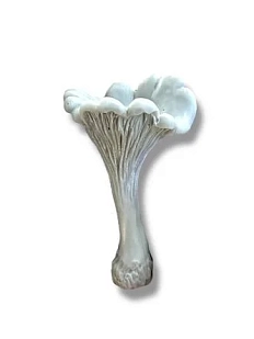 Свеча «Гриб Лисичка» серого цвета