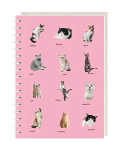 Блокнот на пружине Mitrozhe «Календарь», А6, 50 листов, розовый