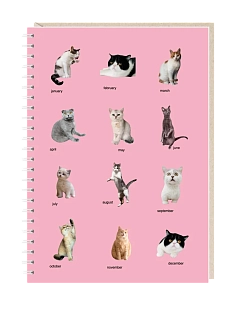 Блокнот Mitrozhe «Календарь», А5, 50 листов, розовый