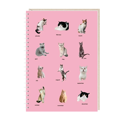 Ежедневник Mitrozhe «Календарь», А5, розовый, фото 1.