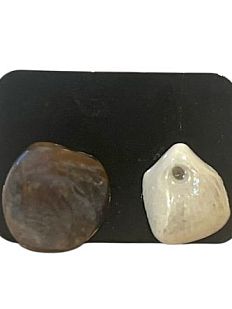 Серёжки-гвоздики «Ракушки», коричнево-белые, керамика