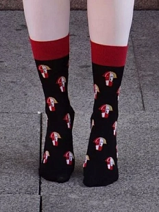 Носки «Голова Крестьянина», р-р 38-41, коричневые