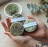 Твердый шампунь ELSKA Cosmetics «Ель и жасмин», бессульфатный, превью фото 1