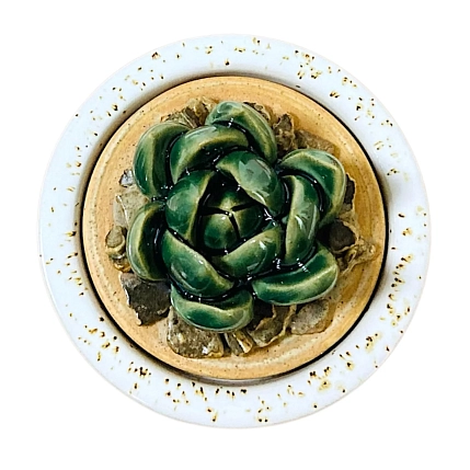 Шкатулка «Суккуленты №1», 7 см, керамика, фото 3.