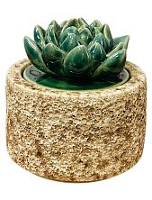 Шкатулка «Суккуленты №2», 7 см, керамика