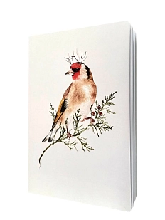 Тетрадь Наталья Филипович «Щегол королевский», А5, 40 листов