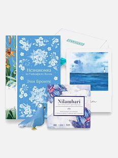 Подарочный набор с книгой «Незнакомка из Уайлдфелл-Холла», брошью и шоколадом