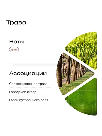 Одеколон Biblioteka aromatov «Трава», 30 мл, фото 2.