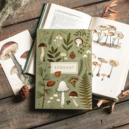 Блокнот «Из леса», А5, 42 листа, светло-зелёный, фото 1.