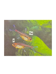 Открытка «Я и ты», зелёная, 7х9 см