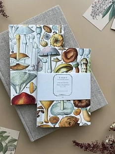 Блокнот «Грибы», А6