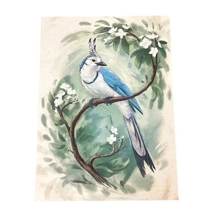 Открытка Лавкот «Сойка», А6, фото 1.