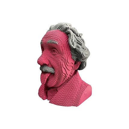 Собранный картонный бюст 3D «Эйнштейн», фото 4.
