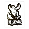 Виниловая наклейка ШКЯ «Немолодой подросток», белая, превью фото 1