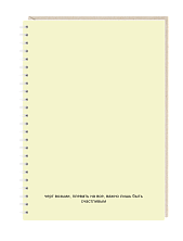 Ежедневник Mitrozhe «Черт возьми», А5, желтый