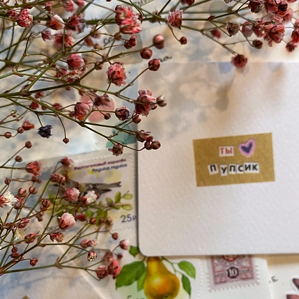 Квадратная мини-открытка «Ты пупсик», фото 4.