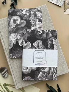 Блокнот «Кораллы», А6