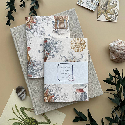 Блокнот «Ctenophorae», А6, фото 1.