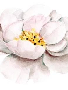 3D Стикер на телефон «Цветочек», белый, объёмный, 3 см