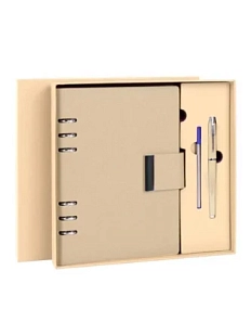 Подарочный набор с ежедневником и ручкой «President», бежевый