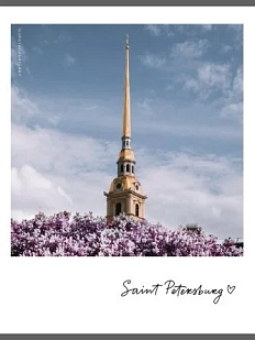 Открытка «Сирень. Фото полароид»