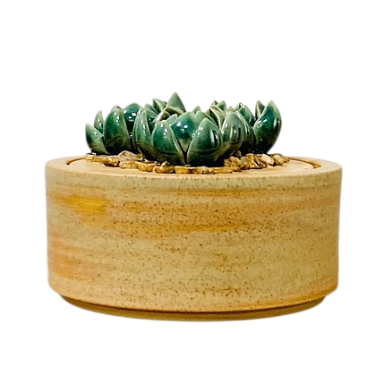 Шкатулка «Суккуленты №1», 10 см, керамика, фото 2.
