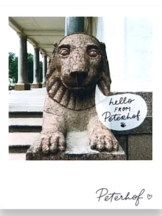 Магнит «Лев. Фото»