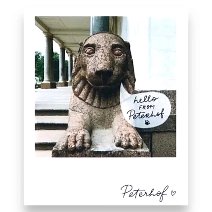 Магнит Подписные изделия «Лев. Фото», фото 1.