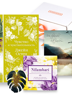 Подарочный набор с книгой «Чувство и чувствительность», брошью и шоколадом