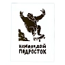 Виниловая наклейка ШКЯ «Немолодой подросток», блестящая, превью фото 1