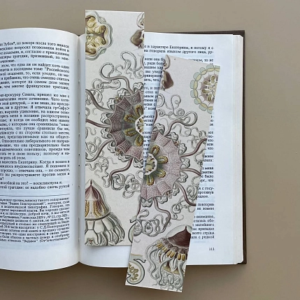 Закладка «Peromedusae» №5, фото 1.