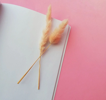 Тетрадь Оксана Викторова «Девушка с голубым вьюнком», А5, 40 листов, белый, фото 3.