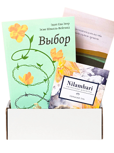 Подарочный набор на Новый год с книгой «Выбор» и шоколадом